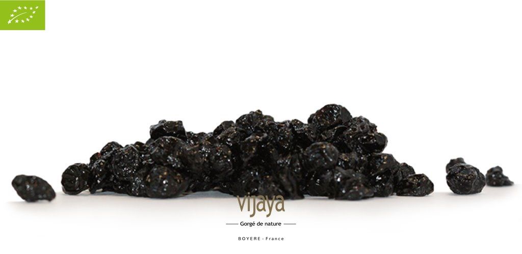 Vijaya